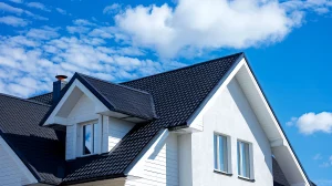 Roof Repair Near You | Lojek Roofing